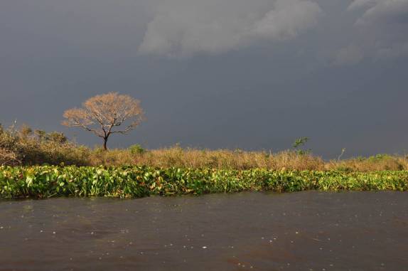 Passeio de barco no rio Paraguai, na região de Corumbá, no Mato Grosso do Sul